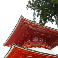 壇上伽藍の写真・動画_image_214896