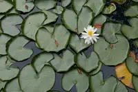 高野山の写真・動画_image_214919