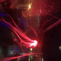 下関市立しものせき水族館・海響館の写真・動画_image_215169