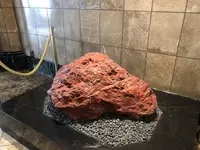 日証館の写真・動画_image_215214