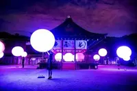 下鴨神社（賀茂御祖神社）の写真・動画_image_215244
