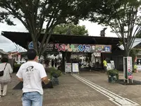 道の駅 うつのみやろまんちっく村の写真・動画_image_215319