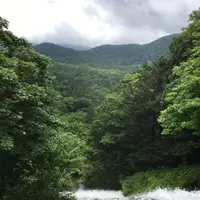 湯滝の写真・動画_image_215373