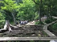 小田代ヶ原の写真・動画_image_215502