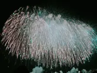 長岡まつり大花火大会の写真・動画_image_215547