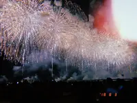 長岡まつり大花火大会の写真・動画_image_215548