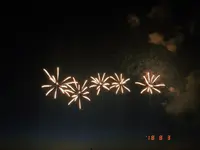 長岡まつり大花火大会の写真・動画_image_215551