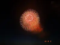 長岡まつり大花火大会の写真・動画_image_215553