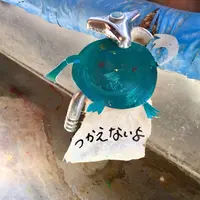 絵本と木の実の美術館の写真・動画_image_215605
