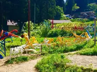 絵本と木の実の美術館の写真・動画_image_215606