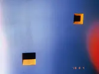 絵本と木の実の美術館の写真・動画_image_215608
