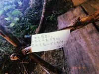 絵本と木の実の美術館の写真・動画_image_215613
