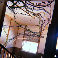 絵本と木の実の美術館の写真・動画_image_215614