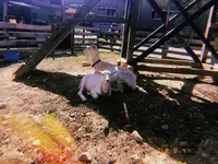 絵本と木の実の美術館の写真・動画_image_215618