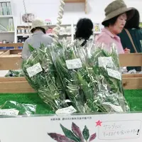 江口蓬莱館の写真・動画_image_215621