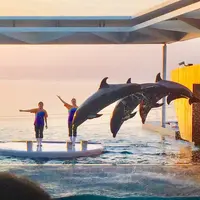 上越市立水族博物館 うみがたり（旧：上越市立水族博物館）の写真・動画_image_215635