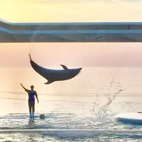 上越市立水族博物館 うみがたり（旧：上越市立水族博物館）の写真・動画_image_215640