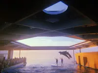 上越市立水族博物館 うみがたり（旧：上越市立水族博物館）の写真・動画_image_215642