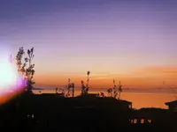 上越市立水族博物館 うみがたり（旧：上越市立水族博物館）の写真・動画_image_215644