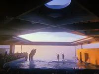 上越市立水族博物館 うみがたり（旧：上越市立水族博物館）の写真・動画_image_215645