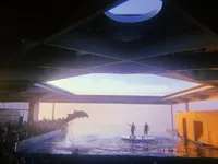 上越市立水族博物館 うみがたり（旧：上越市立水族博物館）の写真・動画_image_215646