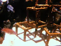 上越市立水族博物館 うみがたり（旧：上越市立水族博物館）の写真・動画_image_215647