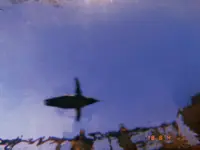 上越市立水族博物館 うみがたり（旧：上越市立水族博物館）の写真・動画_image_215648