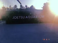 上越市立水族博物館 うみがたり（旧：上越市立水族博物館）の写真・動画_image_215649