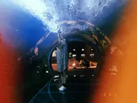 上越市立水族博物館 うみがたり（旧：上越市立水族博物館）の写真・動画_image_215650