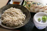 たけよしの写真・動画_image_215701