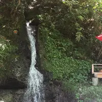 鶴仙渓　川床の写真・動画_image_215949