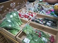 道の駅 のと千里浜の写真・動画_image_215991