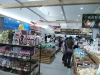 道の駅 のと千里浜の写真・動画_image_215994