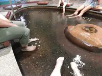 足湯 湯楽里の写真・動画_image_216028
