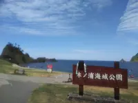 Cove cafeの写真・動画_image_216036