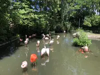 八木山動物公園フジサキの杜の写真・動画_image_216156