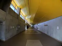 みやぎ生協めぐみ野サッカー場の写真・動画_image_216222