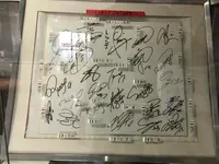 宮城県総合運動公園宮城スタジアムの写真・動画_image_216230