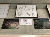 宮城県総合運動公園宮城スタジアムの写真・動画_image_216233