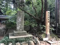 中尊寺の写真・動画_image_216248