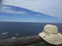 禄剛崎の写真・動画_image_216275