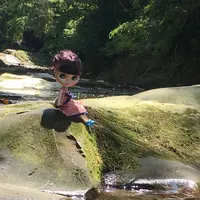 粟又ノ滝の写真・動画_image_216344