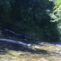 粟又ノ滝の写真・動画_image_216345