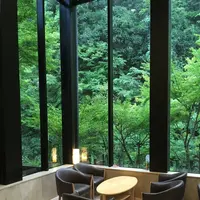 渓谷別庭 もちの木の写真・動画_image_216357