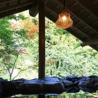 渓谷別庭 もちの木の写真・動画_image_216359