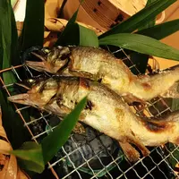 渓谷別庭 もちの木の写真・動画_image_216361