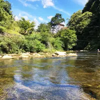渓谷別庭 もちの木の写真・動画_image_216363