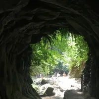 金神の滝の写真・動画_image_216370