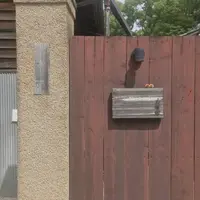 工場跡事務室 喫茶室の写真・動画_image_216419