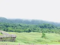 知床五湖の写真・動画_image_216451